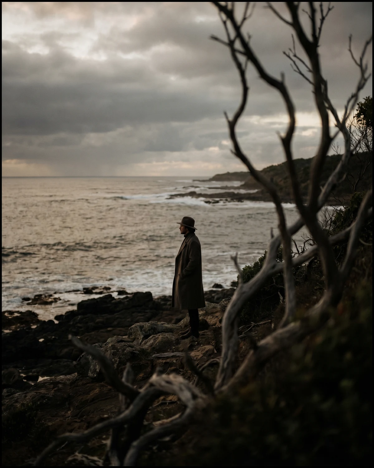 Eucalypt bushland